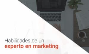 Habilidades experto en marketing